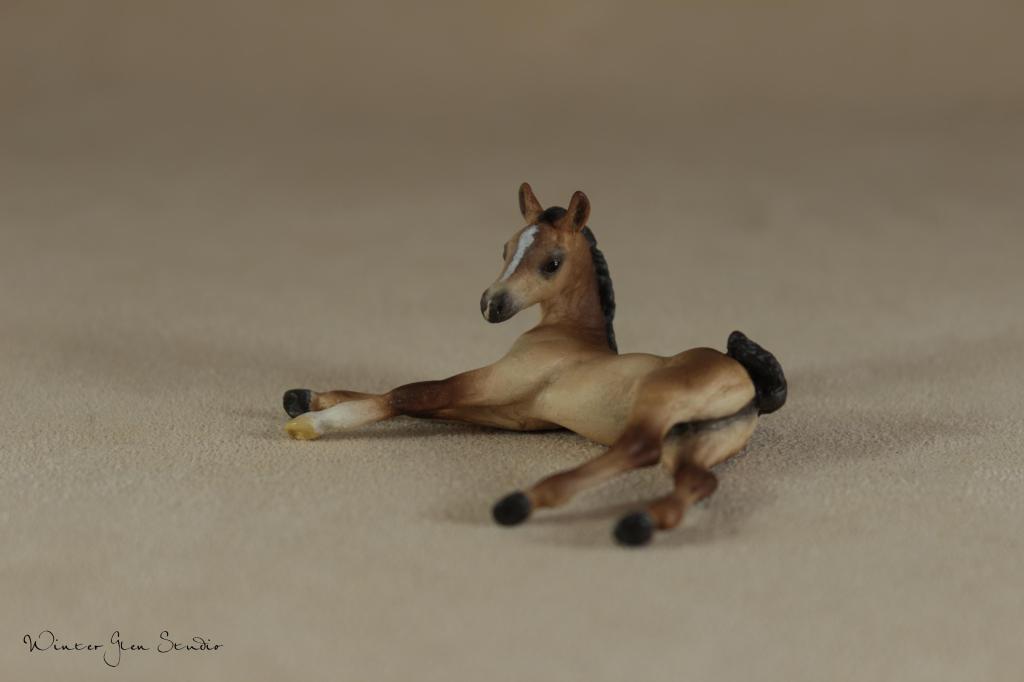 lyingfoal 014